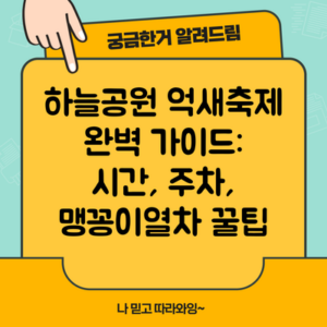 하늘공원 억새축제 완벽 가이드: 시간, 주차, 맹꽁이열차 꿀팁