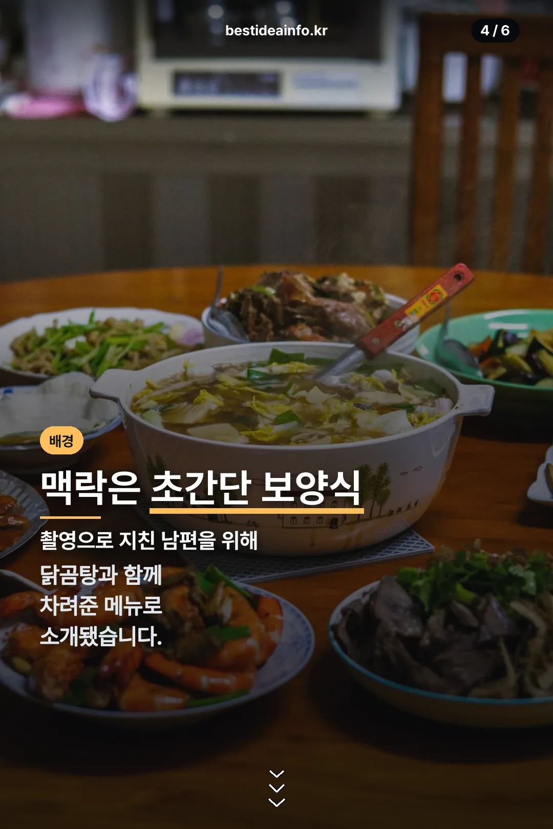 보양식 배경 설명