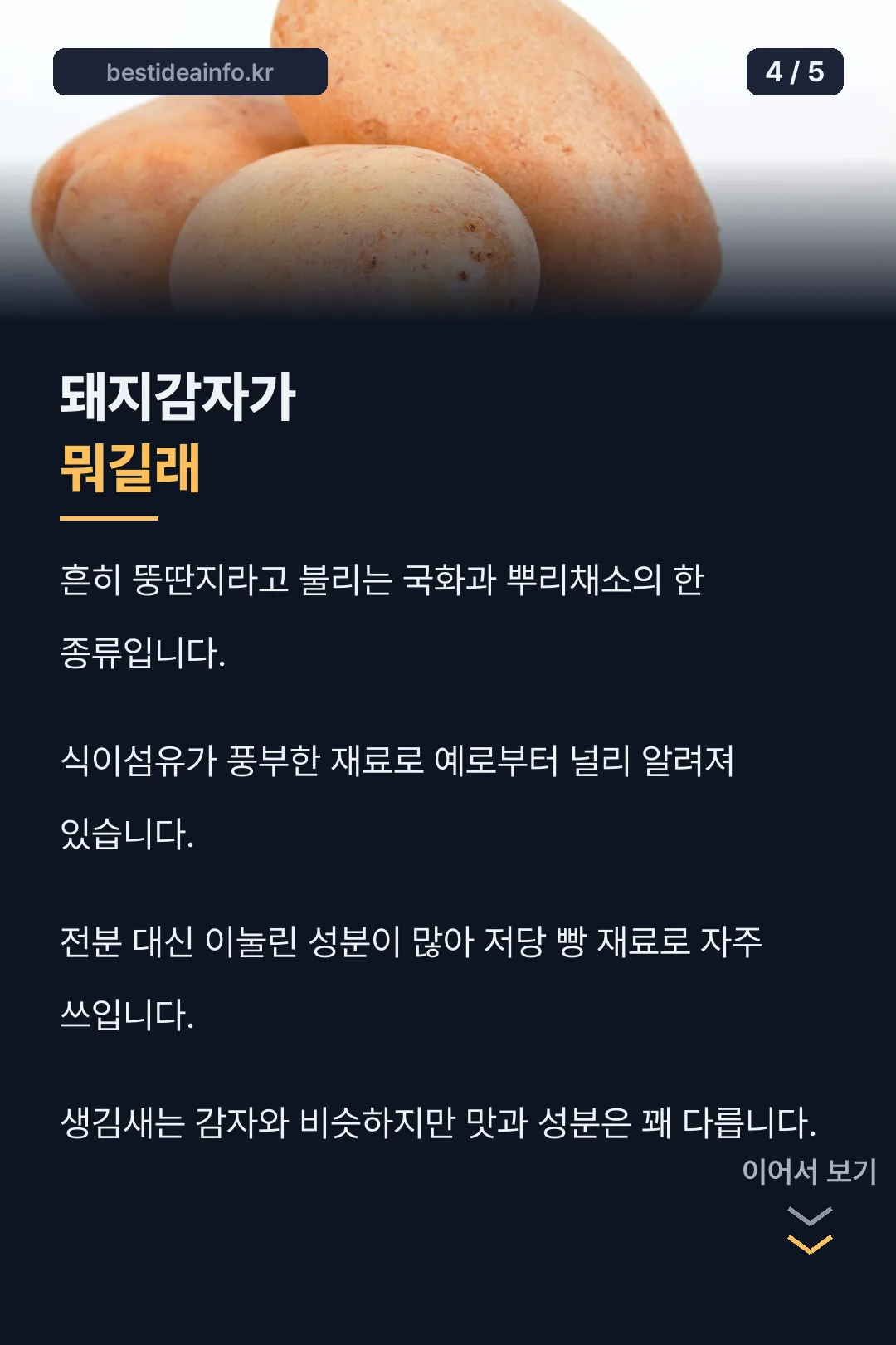 돼지감자 정보
