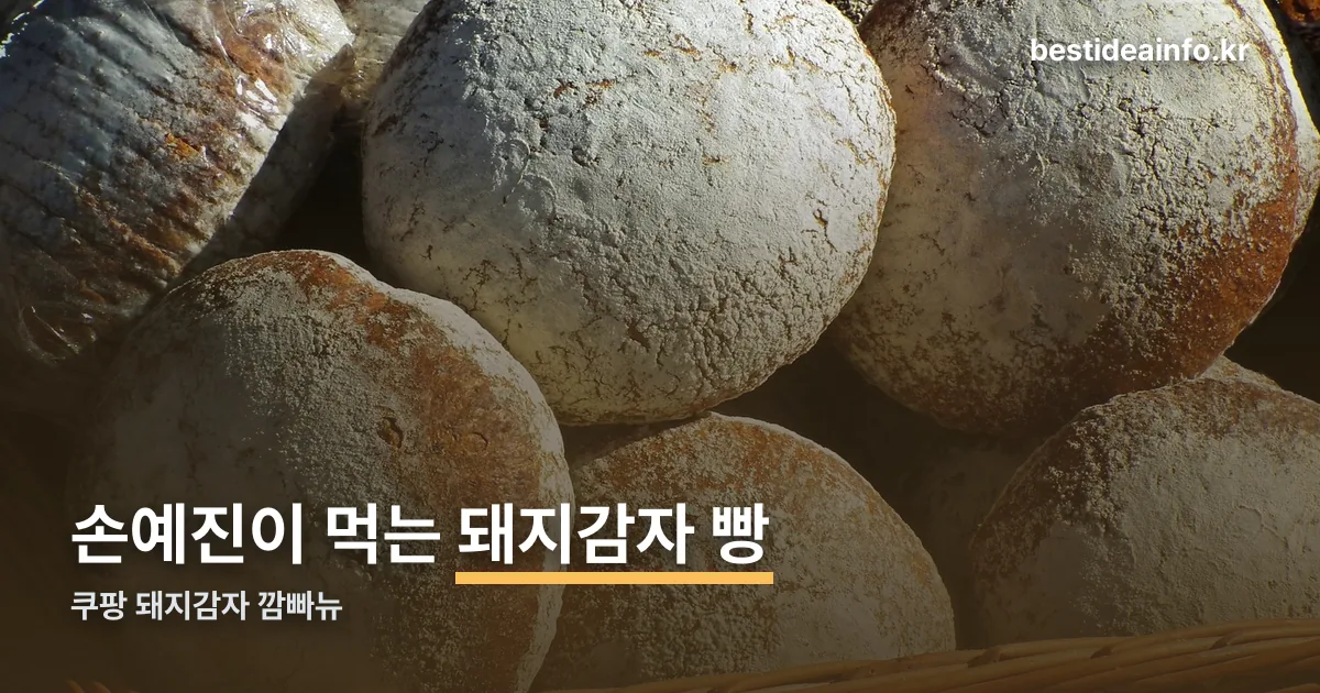 쿠팡 돼지감자 깜빠뉴 정리 썸네일