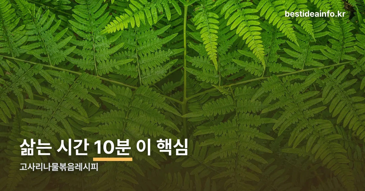 고사리나물볶음레시피 정리 썸네일