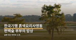 한국기행 흙색요리사영동 — 편백숲 부부의 밥상