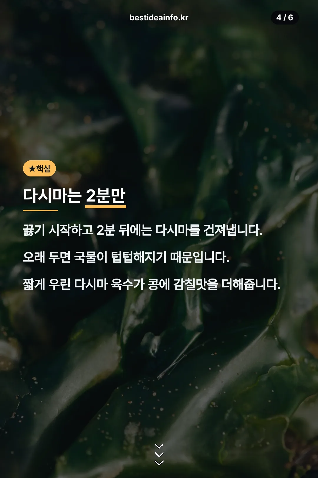 다시마 활용 포인트