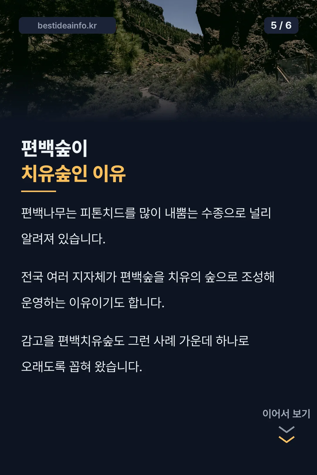편백숲이 치유숲인 이유