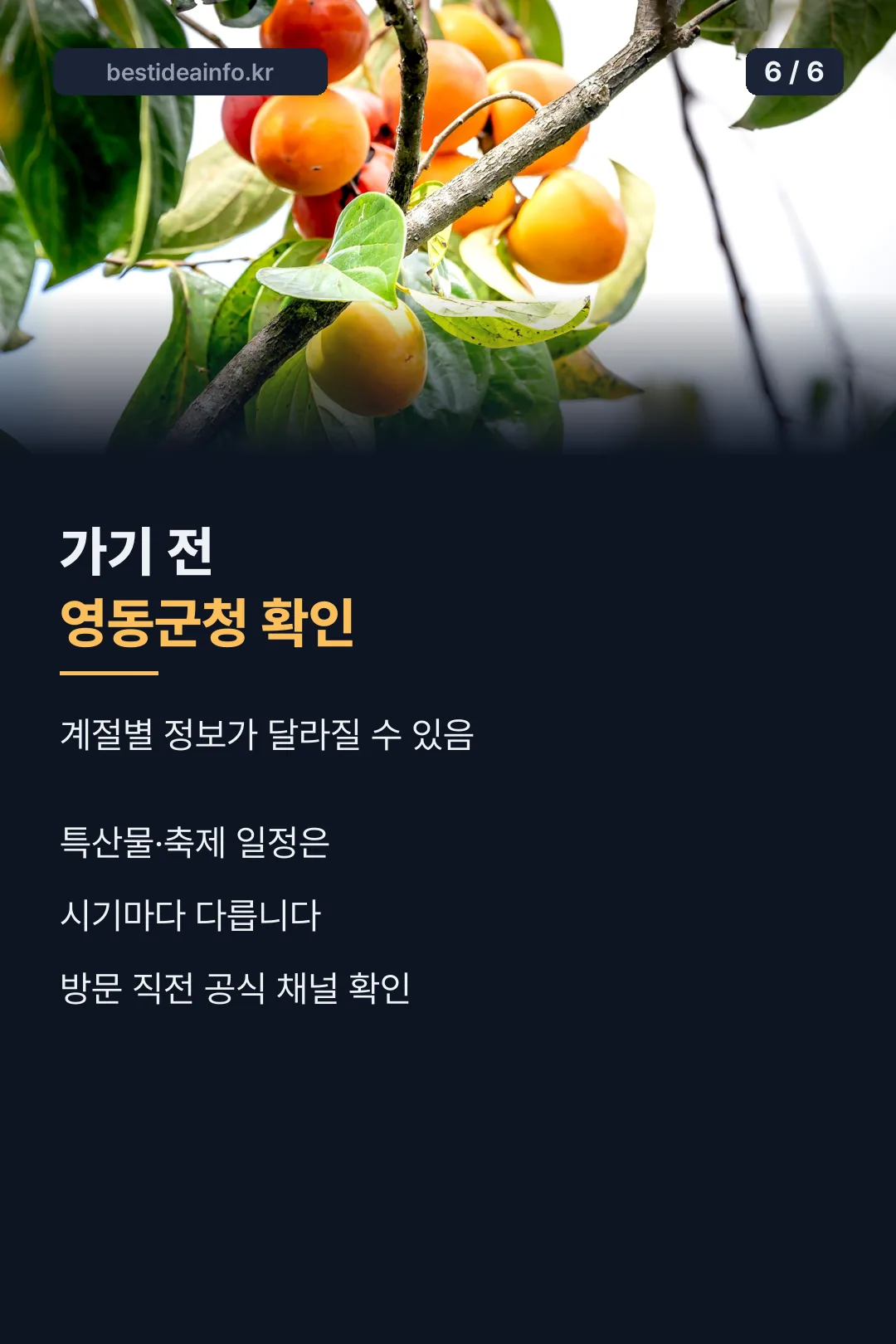 방문 전 안내 마무리