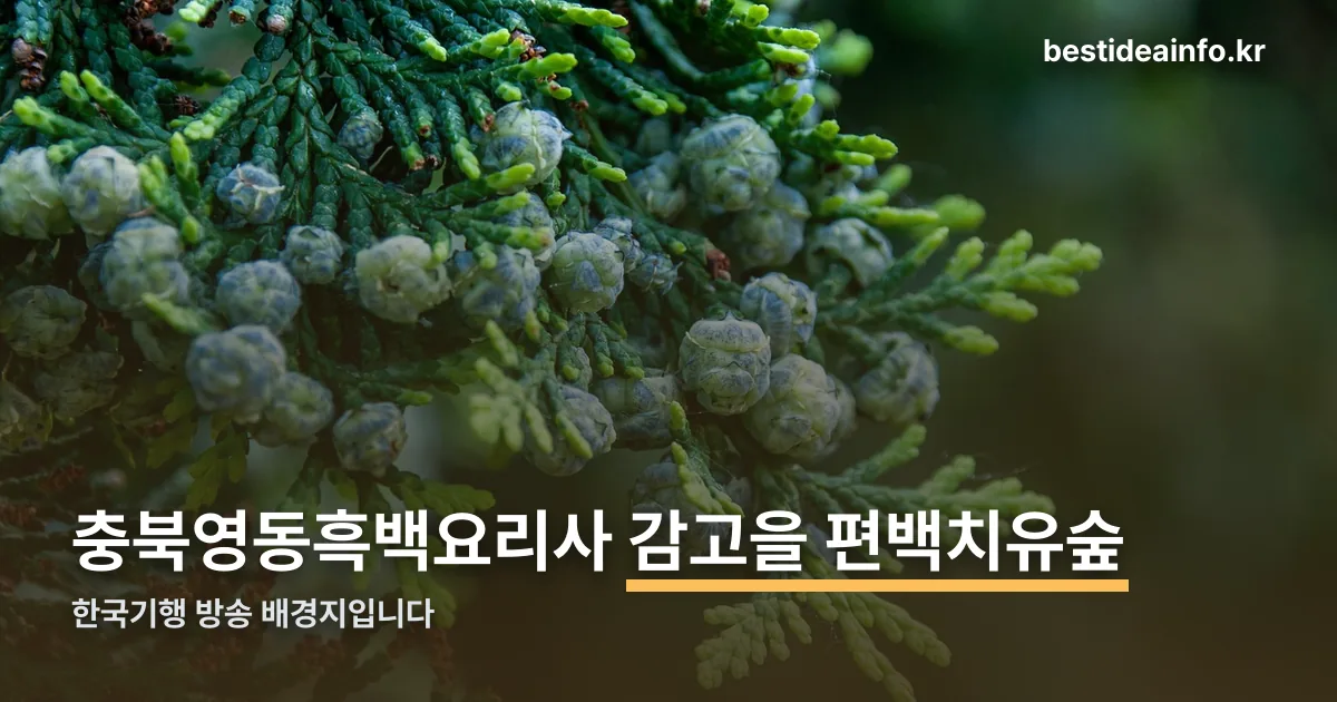 충북영동흑백요리사 정리 썸네일