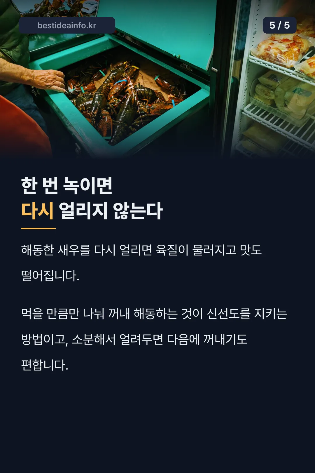 재동결은 피하기