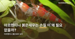 아르헨티나 붉은새우 요리 — 해동부터 버터구이까지 순서 정리