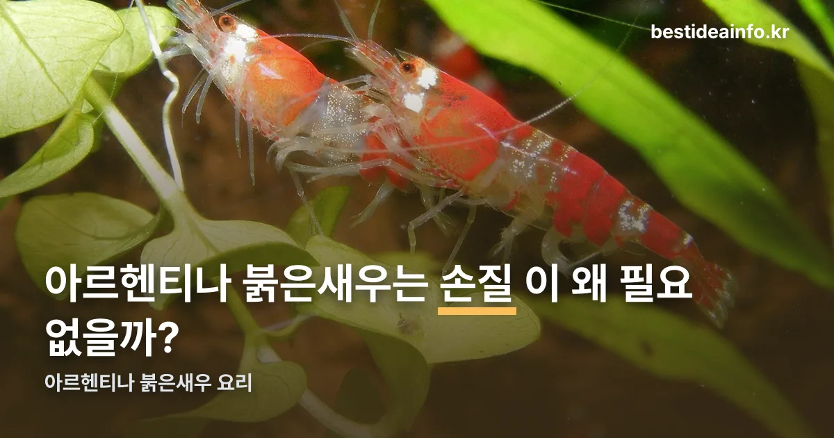 아르헨티나 붉은새우 요리 정리 썸네일