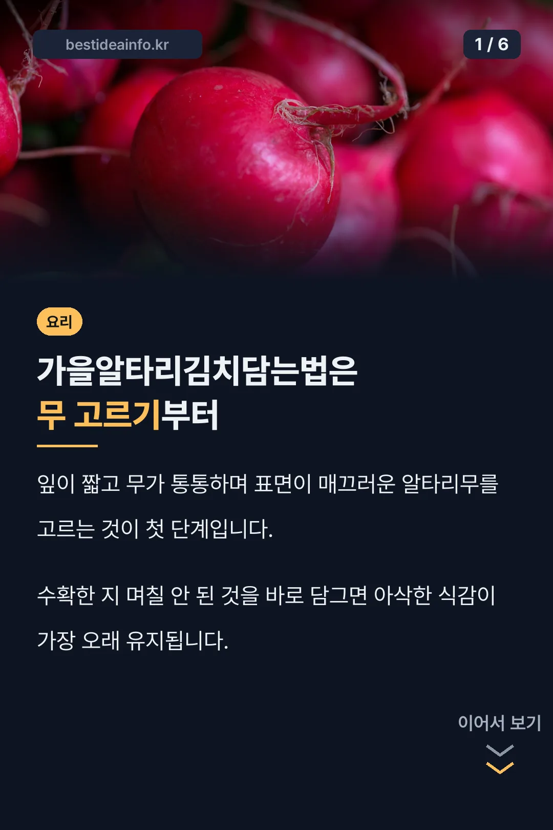 가을알타리김치담는법 무 고르기