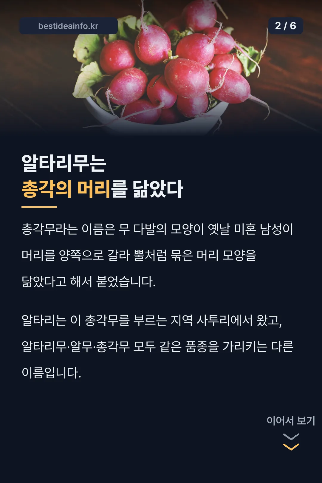 총각무 이름 유래