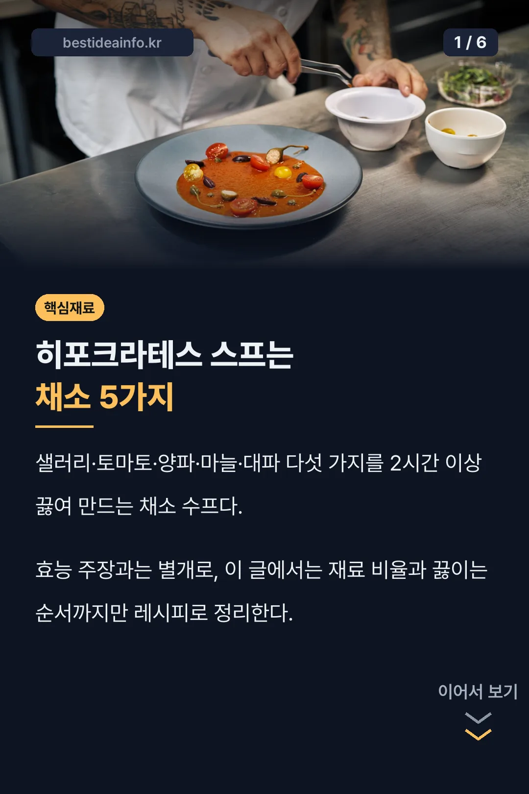 히포크라테스 스프 핵심 요약