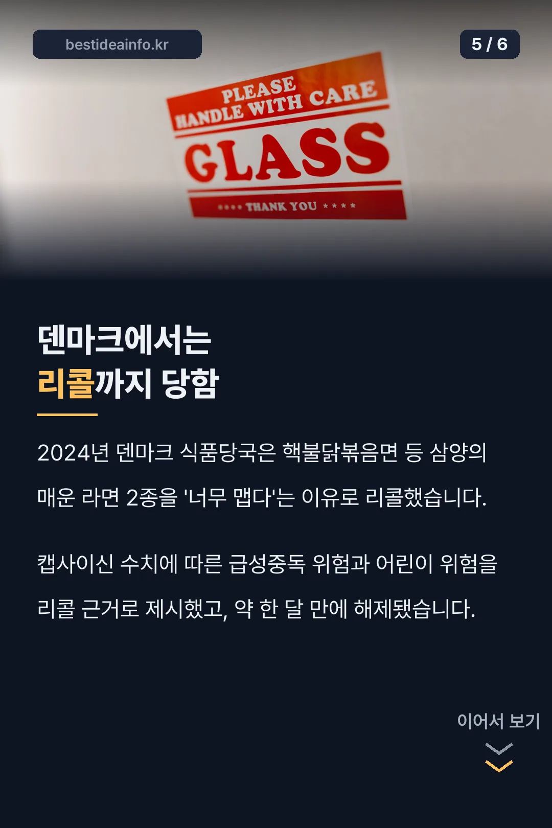 덴마크 리콜 사건
