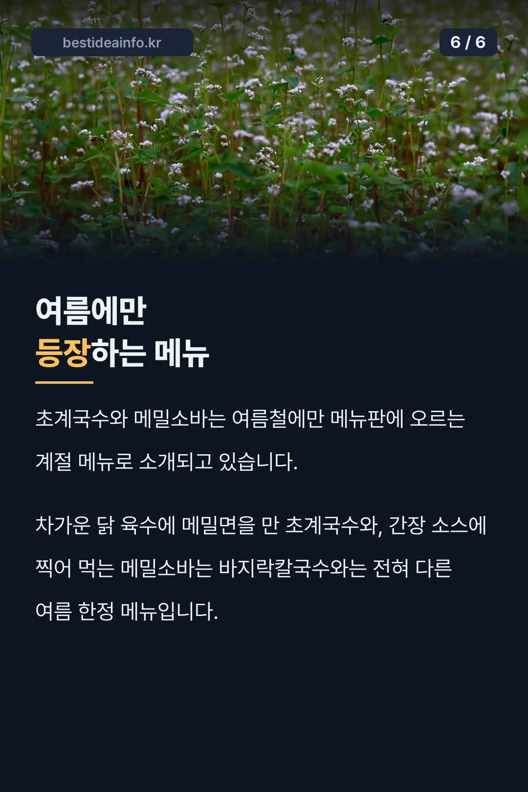 여름 한정 메뉴