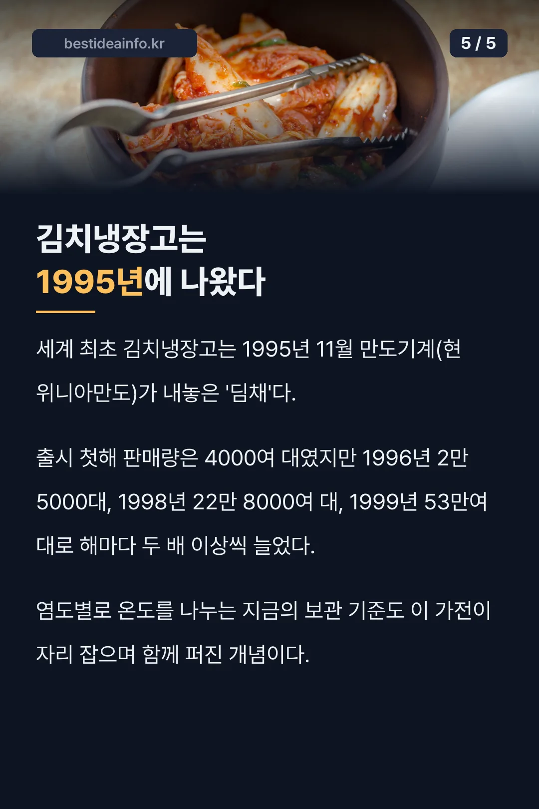 김치냉장고 1995년 등장 기록