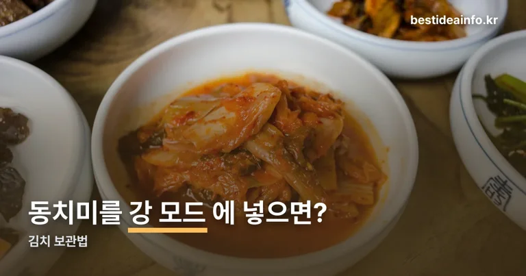 김치 보관법 정리 썸네일