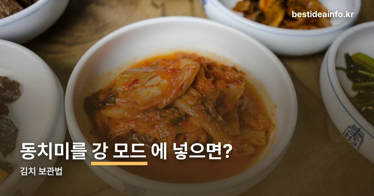 김치 보관법 정리 썸네일