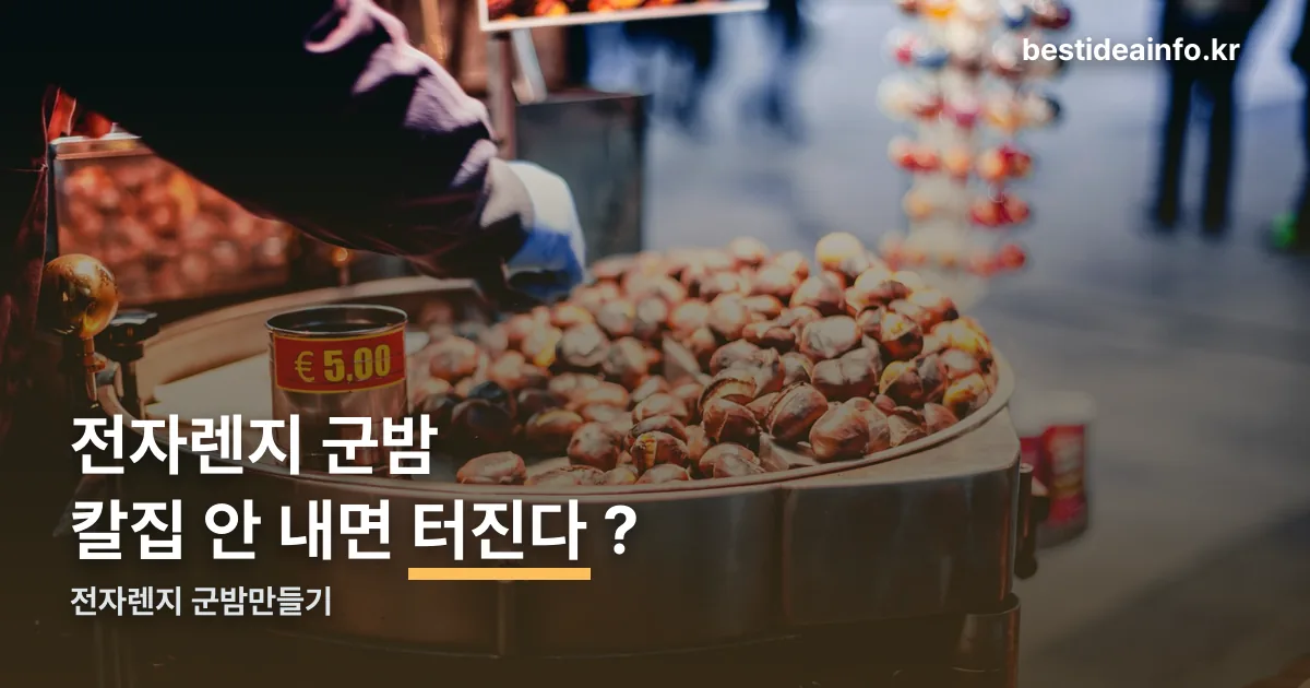전자렌지 군밤만들기 정리 썸네일