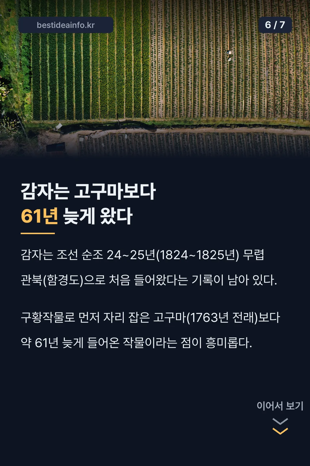 감자는 고구마보다 61년 늦게 옴