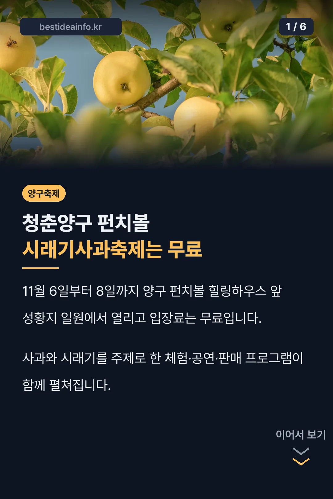 양구 펀치볼 시래기사과축제